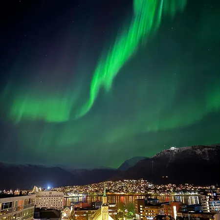 Norwegian Fjord Explorer Line *