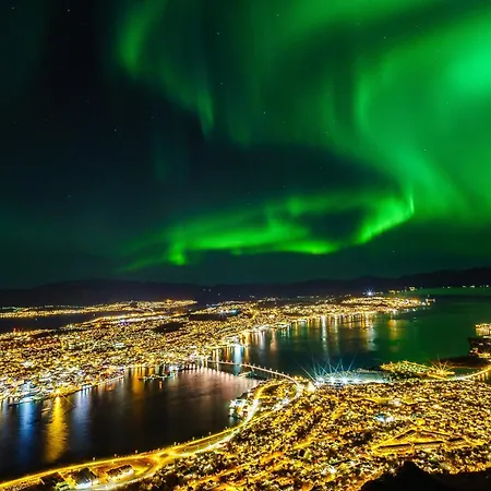 Norwegian Fjord Explorer Line